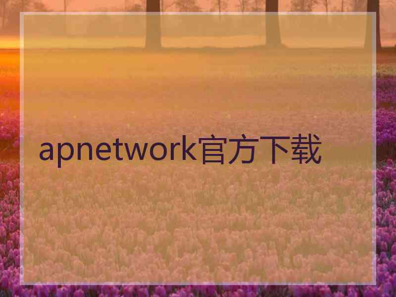 apnetwork官方下载