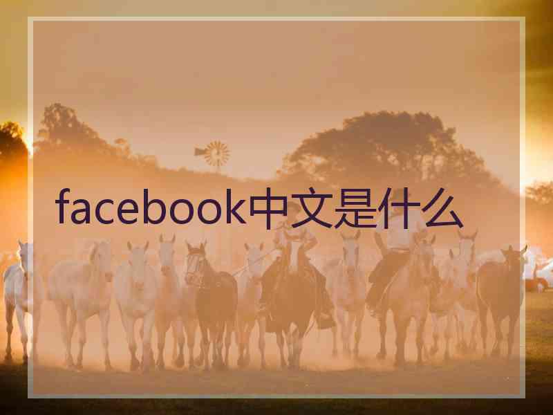 facebook中文是什么