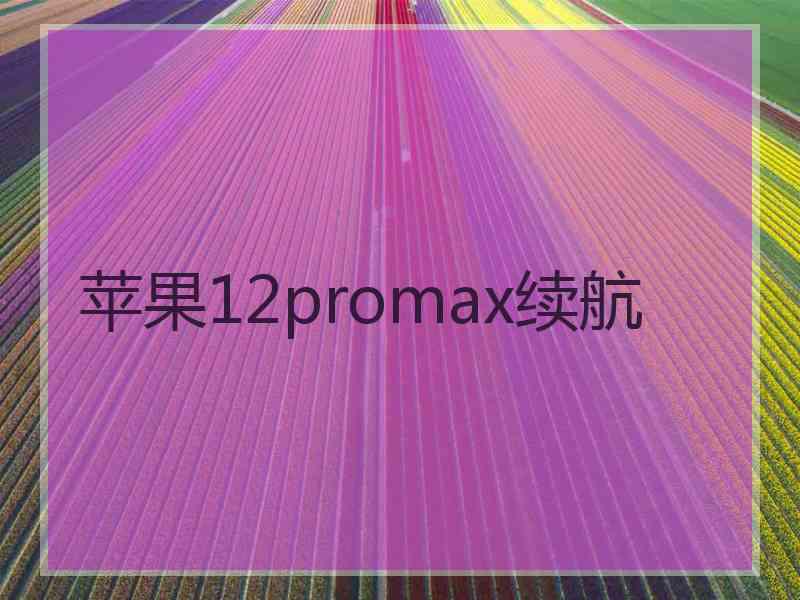 苹果12promax续航