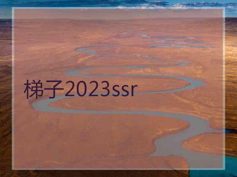 梯子2023ssr