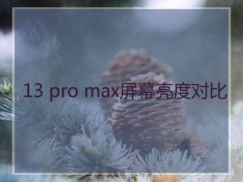 13 pro max屏幕亮度对比