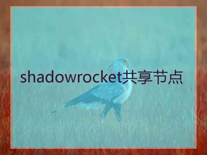 shadowrocket共享节点