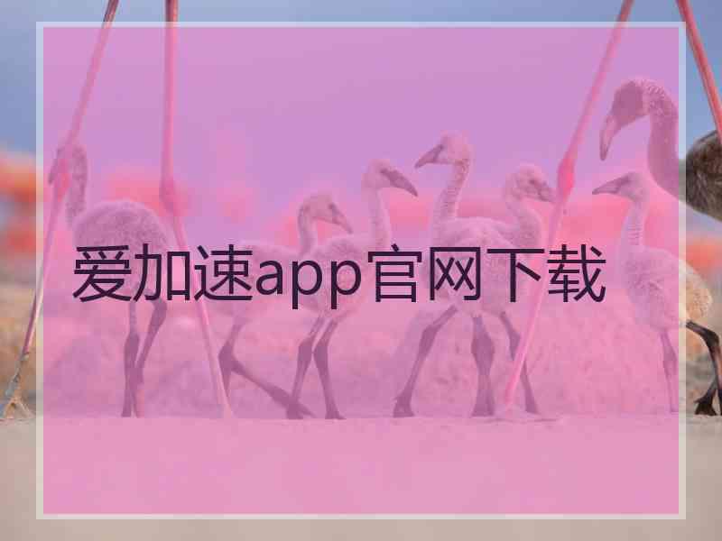 爱加速app官网下载