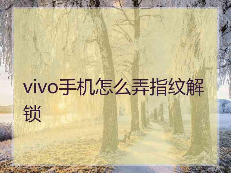 vivo手机怎么弄指纹解锁