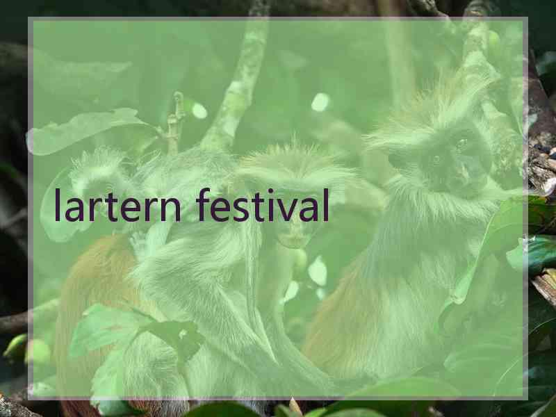 lartern festival