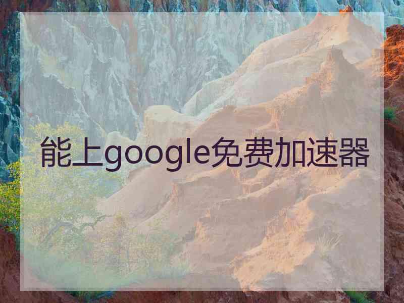 能上google免费加速器