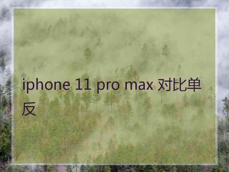 iphone 11 pro max 对比单反