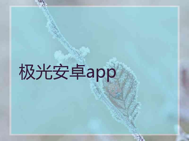 极光安卓app