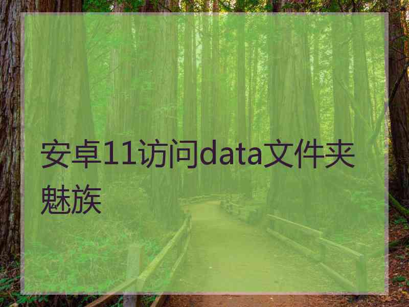 安卓11访问data文件夹魅族