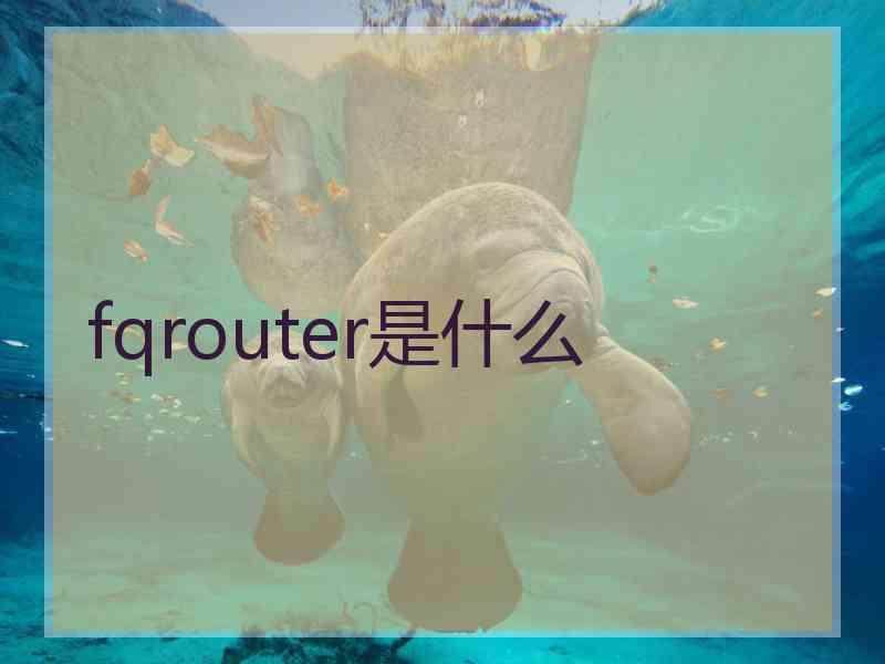 fqrouter是什么