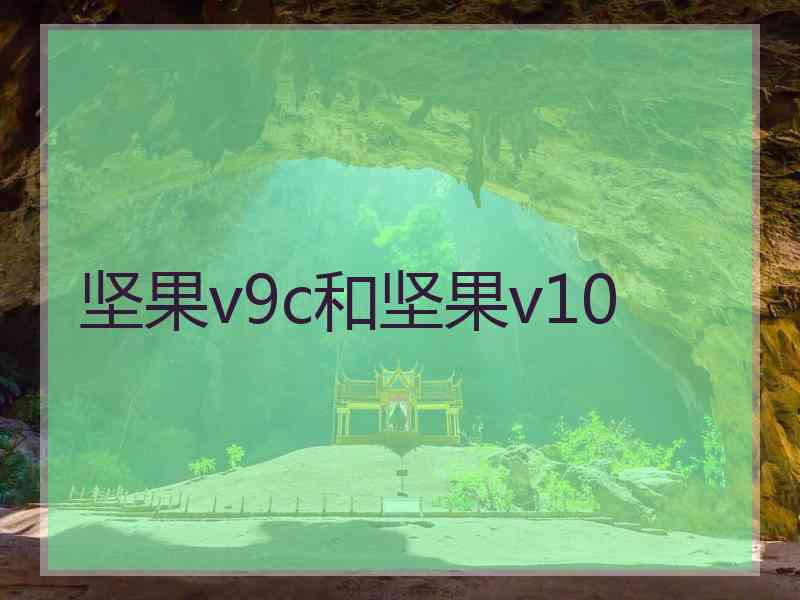 坚果v9c和坚果v10