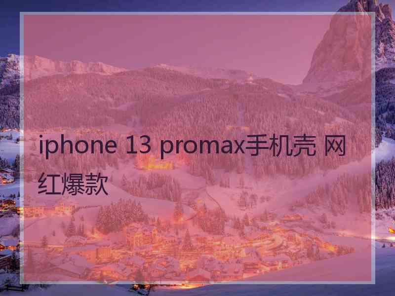 iphone 13 promax手机壳 网红爆款