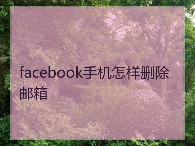 facebook手机怎样删除邮箱