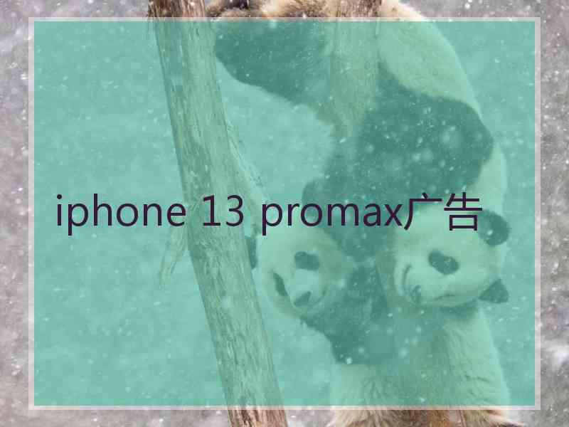 iphone 13 promax广告