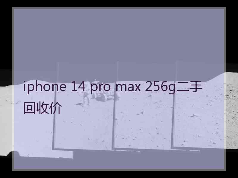 iphone 14 pro max 256g二手回收价