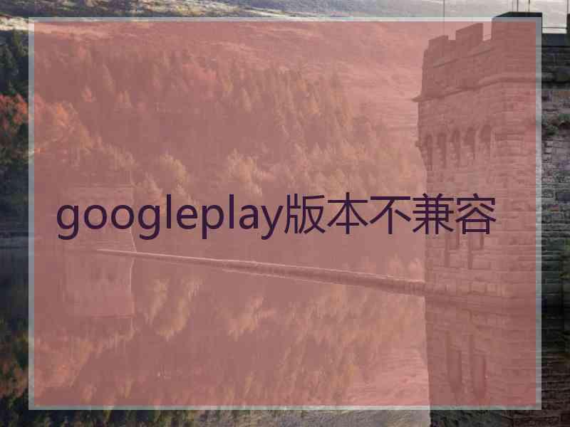 googleplay版本不兼容