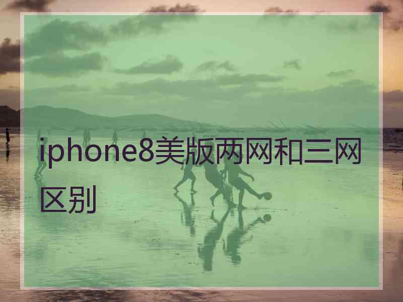 iphone8美版两网和三网区别