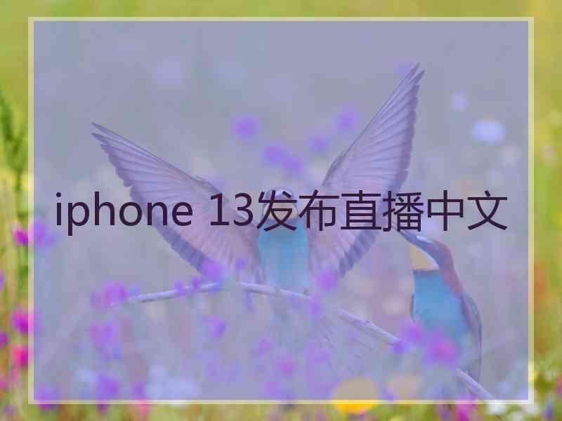 iphone 13发布直播中文