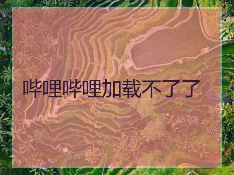 哔哩哔哩加载不了了