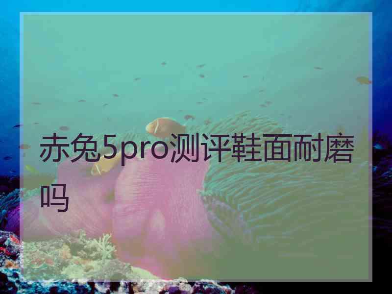 赤兔5pro测评鞋面耐磨吗