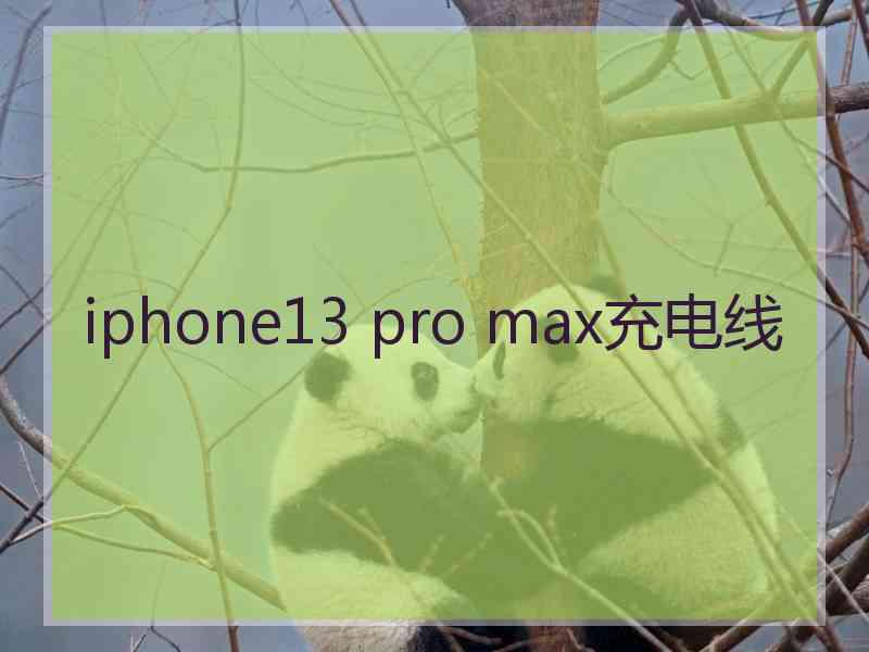 iphone13 pro max充电线