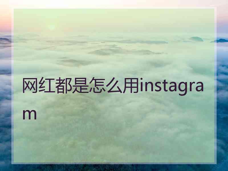 网红都是怎么用instagram