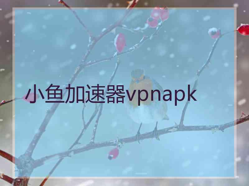 小鱼加速器vpnapk