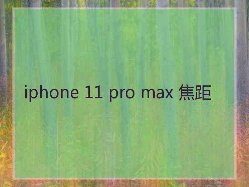 iphone 11 pro max 焦距