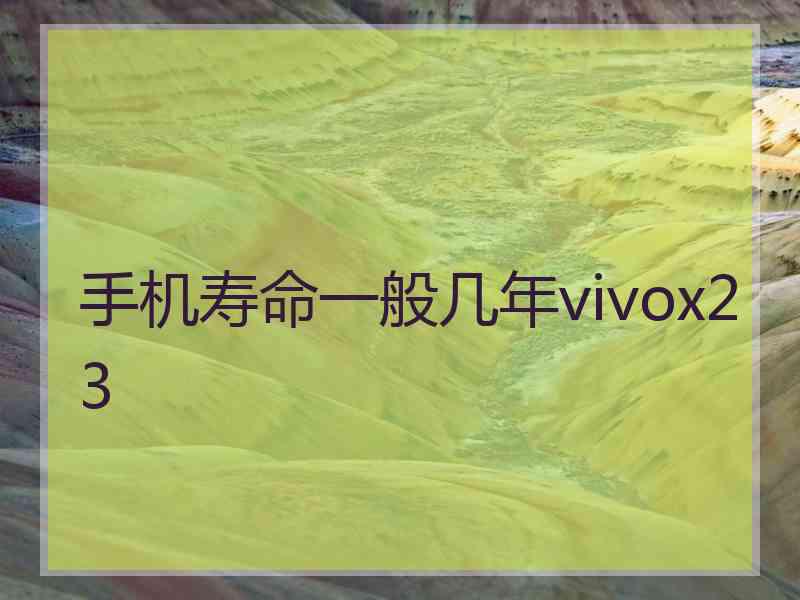 手机寿命一般几年vivox23