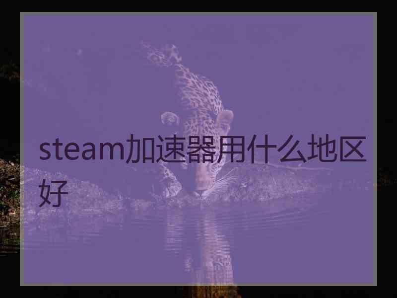 steam加速器用什么地区好