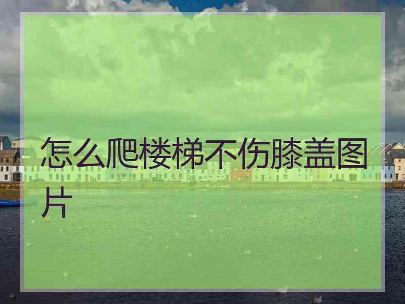 怎么爬楼梯不伤膝盖图片