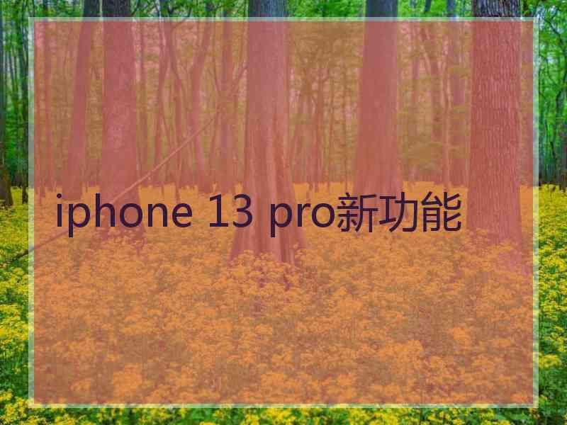 iphone 13 pro新功能