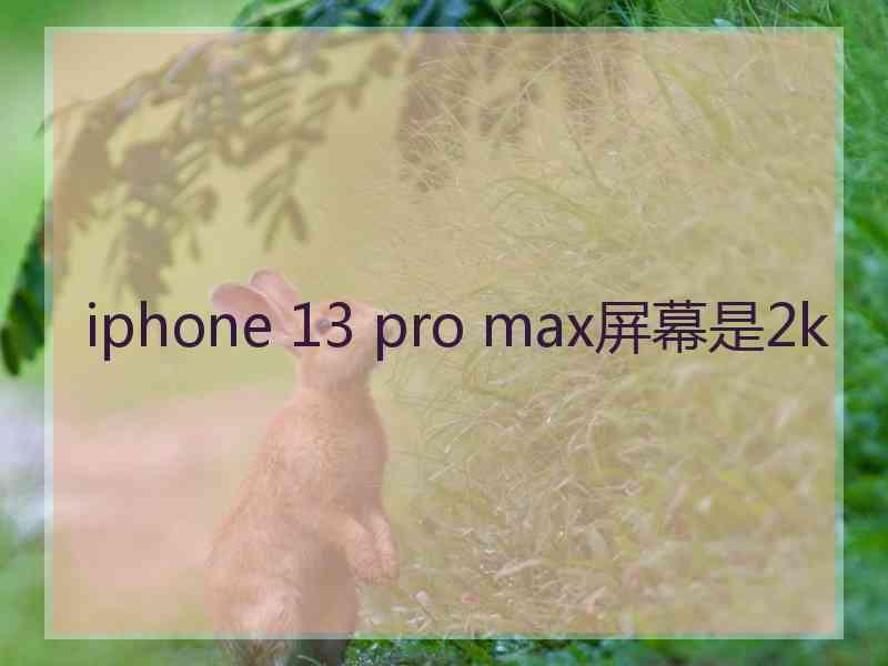 iphone 13 pro max屏幕是2k