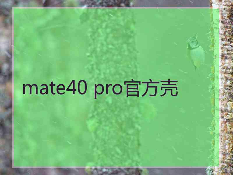 mate40 pro官方壳