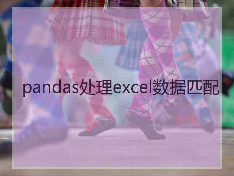 pandas处理excel数据匹配