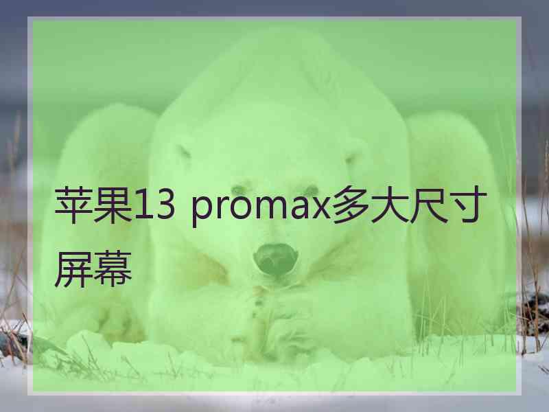 苹果13 promax多大尺寸屏幕