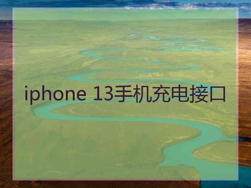 iphone 13手机充电接口