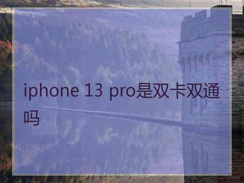 iphone 13 pro是双卡双通吗