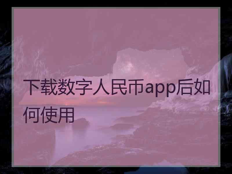 下载数字人民币app后如何使用