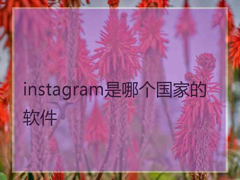 instagram是哪个国家的软件