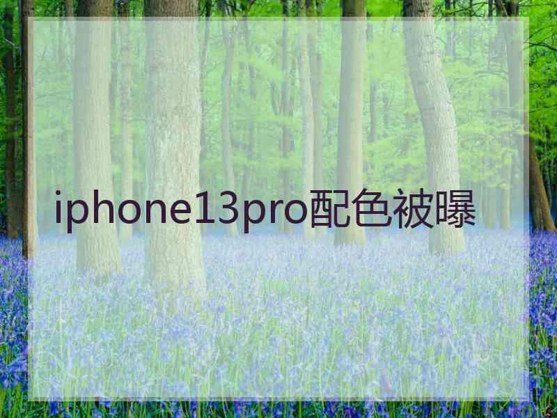 iphone13pro配色被曝