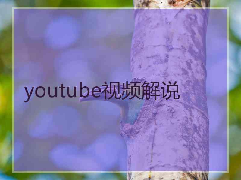 youtube视频解说