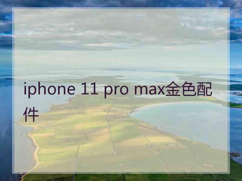 iphone 11 pro max金色配件