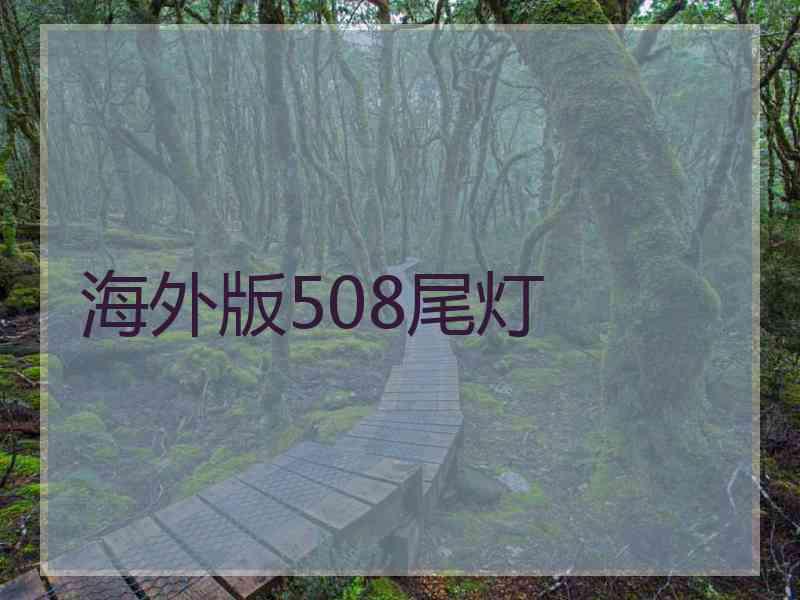 海外版508尾灯