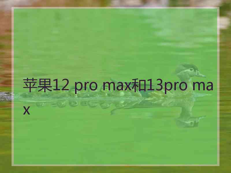 苹果12 pro max和13pro max