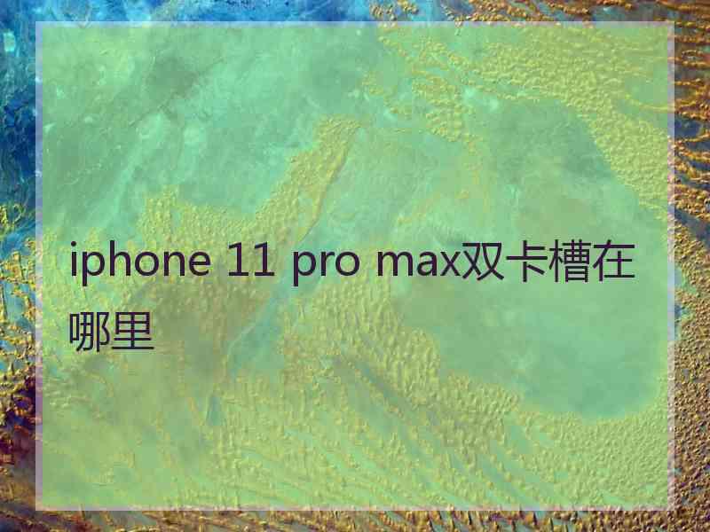 iphone 11 pro max双卡槽在哪里