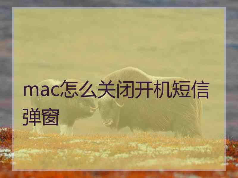 mac怎么关闭开机短信弹窗