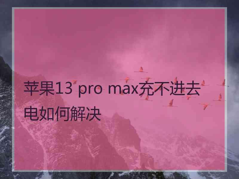 苹果13 pro max充不进去电如何解决