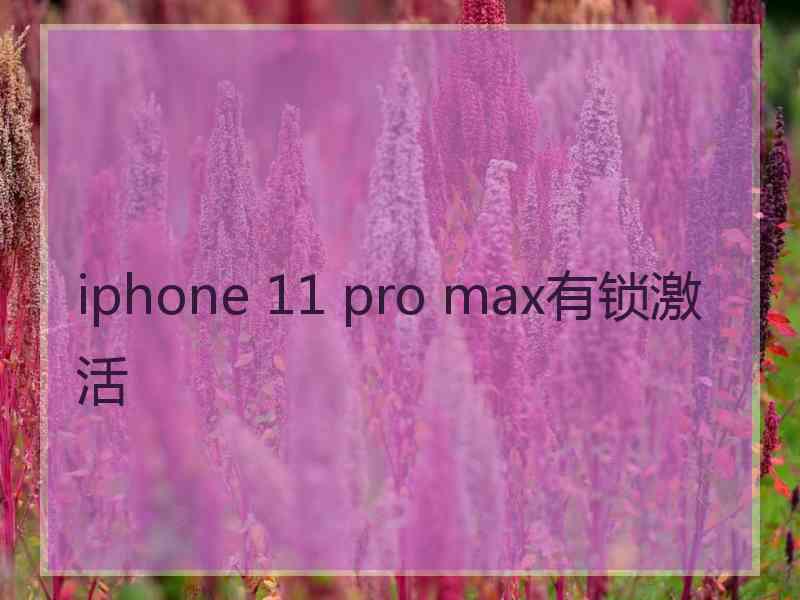 iphone 11 pro max有锁激活