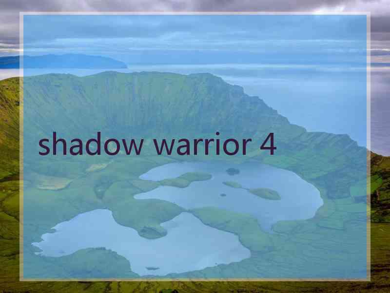 shadow warrior 4